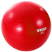 TKO Strength 65 cm Stability Ball Workout