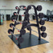 TKO S846-807TR10 20-110lb Rubber Curl Barbells with 10 Set Barbell Rack inside Gym
