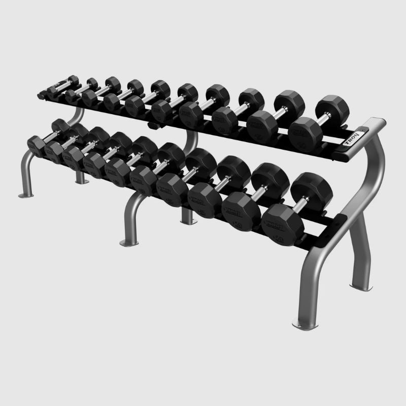 TROY DR-10 10-Pair Dumbbell Saddle Rack Silver with Dumbbells