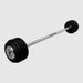 TROY Fixed Barbell Pro Style 110 lb Straight Barbell with Chrome Endcaps - Black _ PFB-C