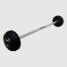 TROY Fixed Barbell Pro Style 70 lb Straight Barbell with Rubber Endcaps - Black _ PFB-R