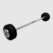 TROY Fixed Barbell Pro Style 80 lb Straight Barbell with Chrome Endcaps - Black _ PFB-C