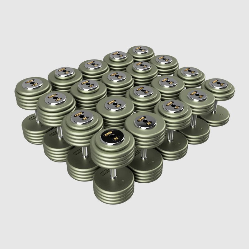 TROY HFDC-C Gray Hammer-tone Pro Style Dumbbell Sets Chrome End Caps 55 lb to 100 lb dumbbells set
