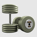 TROY HFDC-C Gray Hammer-tone Pro Style Dumbbell Sets Chrome End Caps 85 lb dumbbells pair