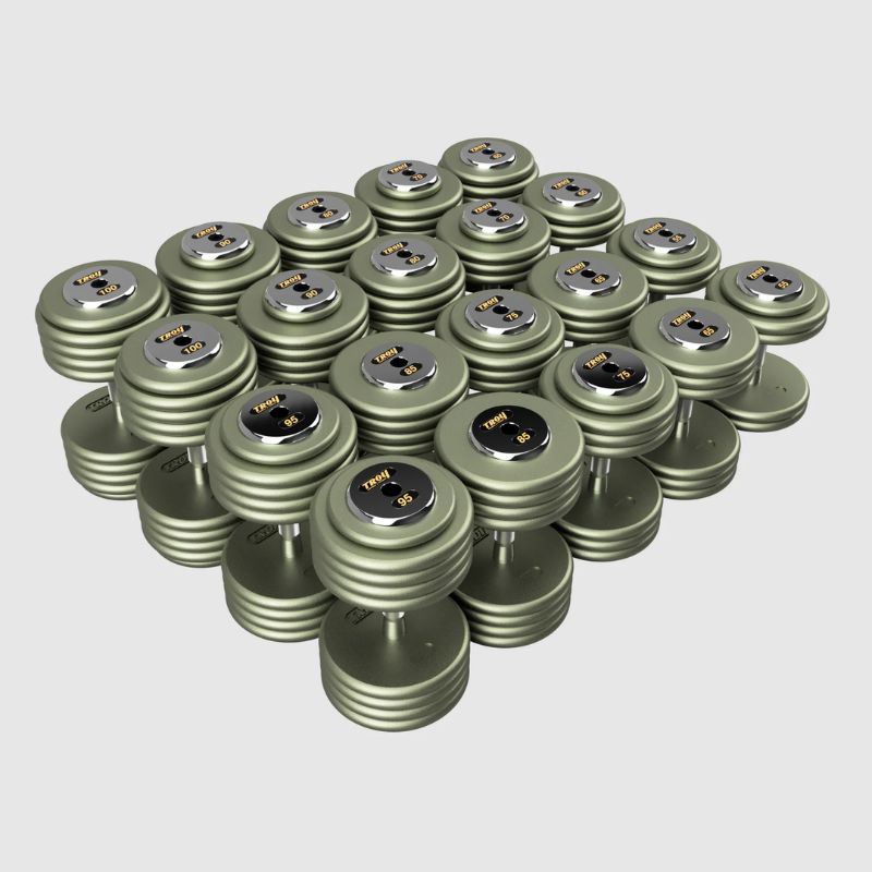 TROY HFDC-C Pro-Style Gray Dumbbell Contoured Handle & Chrome Endcaps 55 lb to 100 lb Dumbbells