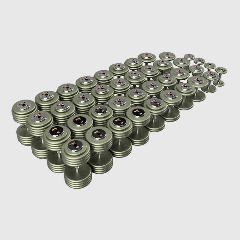 TROY HFDC-C Pro-Style Gray Dumbbell Contoured Handle & Chrome Endcaps 5 lb to 100 lb Dumbbells Set