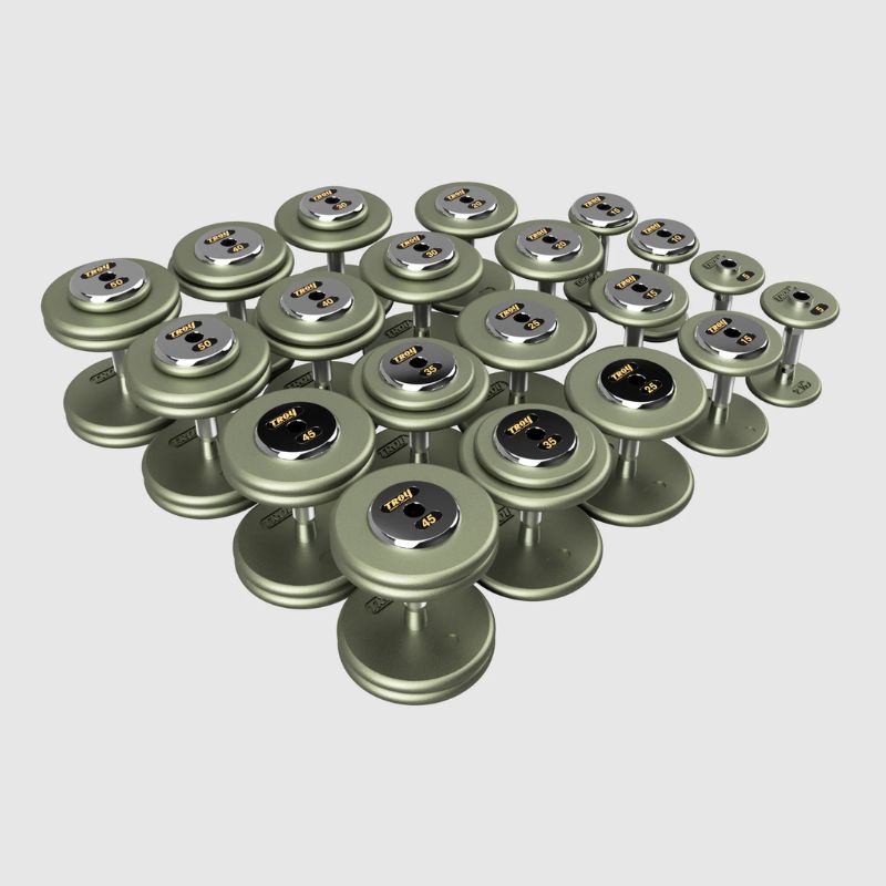 TROY HFDC-C Pro-Style Gray Dumbbell Contoured Handle & Chrome Endcaps 5 lb to 50 lb Dumbbells Set