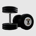TROY PFD-C Black Textured Pro Style Dumbbell Set with Chrome End Caps 65 lb Dumbbells Pair