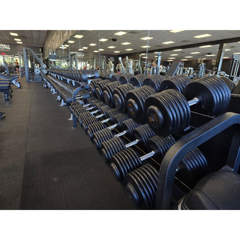 TROY PFD-R Pro-Style Dumbbells Sets with Rubber Ends 5–150 lb