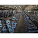 TROY PFD-R Pro-Style Black Dumbbell Straight Handle & Rubber Endcaps Set in Gym Rack