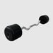 TROY RUFC-R Pro Style Curl Barbell- Rubber-Encased Plates 90 lb Fixed Curl Barbell