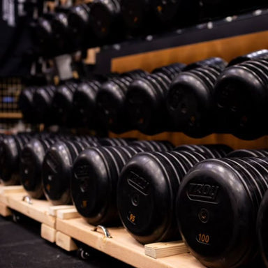 TROY RUFDC-R Rubber Encased Pro Style Dumbbell Set Contoured Handles Set with Custom Rack