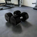 TROY TSD-R  12-Sided Rubber Encased Dumbbells 100lb Pair