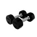 TSD-R Troy 12-Sided Rubber Encased Dumbbell 10lb Pair