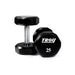 TSD-U Troy 12-Sided Urethane Encased Dumbbell 25lb Pair