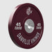 Troy Custom Logo Premium Rubber Bumper Plates with Dual Logo 2