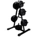 Troy GRSR Standard Plate "A" Frame Rack with Weights