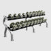 Troy HFD-C 5-50 lb Pro Style Dumbbell Sets with 2 Tier Rack