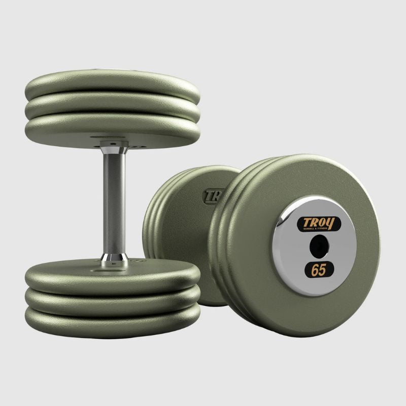 Troy HFD-C 65 lbs Pro Style Dumbbell with Straight Handles & Chrome End Caps on a white background