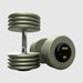 Troy HFDC-R Gray Pro Style Dumbbell Sets Rubber End Caps 85 lb Dumbbells Pair