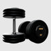 Troy Pro Style Dumbbells - Black Textured Dumbbell Straight Handle & Rubber Endcaps - 65 lb dumbbells