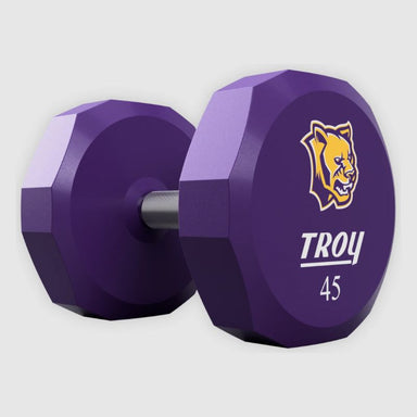 Troy TSD-UL 12-Sided Urethane Dumbbell Set with Custom Logo of Cheetah on a white background