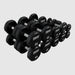 Troy TSD-U 12-Sided Urethane Encased Dumbbell Sets (Sold in 5lb Increments) 10,20,30,40,50 lb dumbbells set