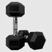 USA by Troy HD-R  Rubber Hex Dumbbell Sets 25 lb Dumbbells Pair