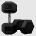 USA by Troy HD-R  Rubber Hex Dumbbell Sets 85 lb Dumbbells Pair