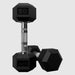 USA by Troy HD-R Rubber Hex Dumbbells 10lbs Pair