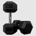 USA by Troy HD-R Rubber Hex Dumbbells 45lbs Pair