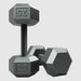 USA by Troy IHD Hex Gray Cast Iron Dumbbell 25lbs Pair 