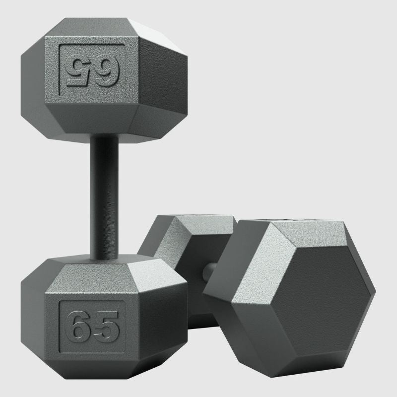 USA by Troy IHD Hex Gray Cast Iron Dumbbell 65lbs Pair