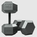 USA by Troy IHD Solid Iron Gray Cast Hex Dumbbell Set 100 lb Dumbbells Pair