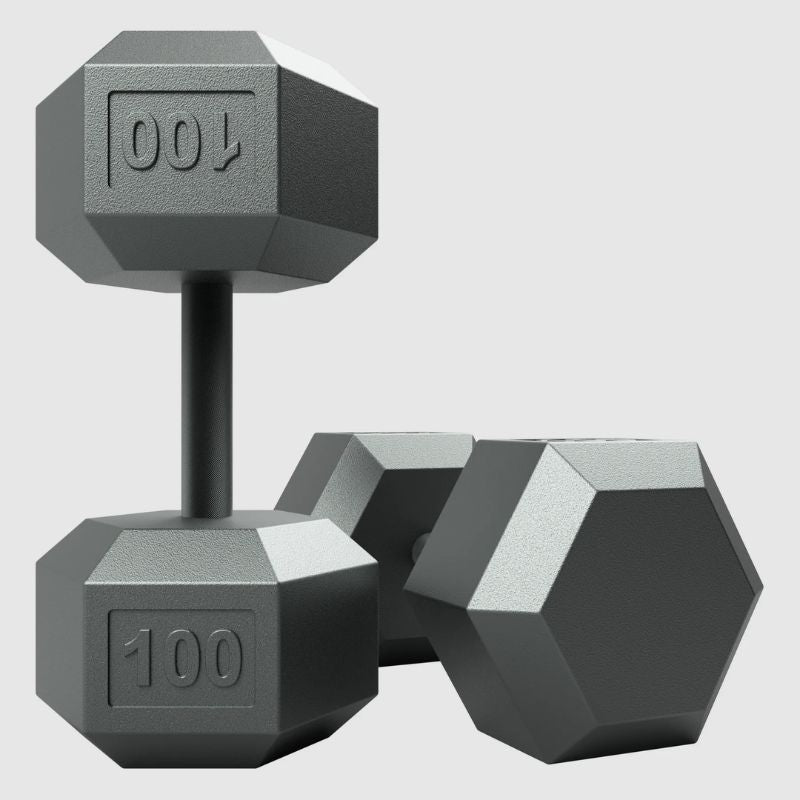 USA by Troy IHD Solid Iron Gray Cast Hex Dumbbell Set 100 lb Dumbbells Pair