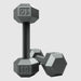 USA by Troy IHD Solid Iron Gray Cast Hex Dumbbell Set 10 lb Dumbbells Pair