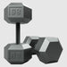 USA by Troy IHD Solid Iron Gray Cast Hex Dumbbell Set 85 lb Dumbbells Pair