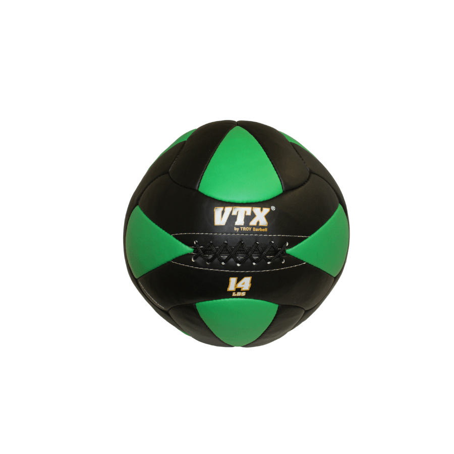 Troy Leather Wall Ball | PWB 14lb