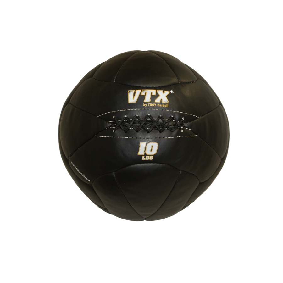 Troy Leather Wall Ball | PWB 10lb
