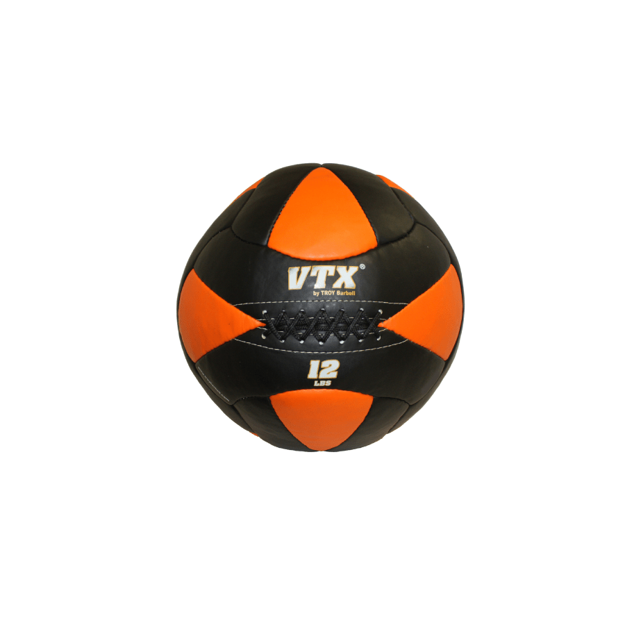 Troy Leather Wall Ball | PWB 12lb