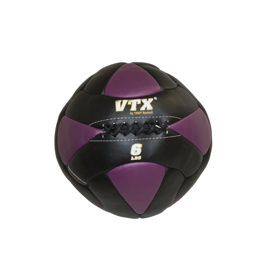 Troy Leather Wall Ball | PWB 6lb