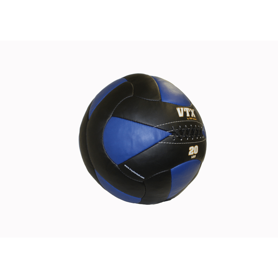 Troy Leather Wall Ball | PWB 20lb
