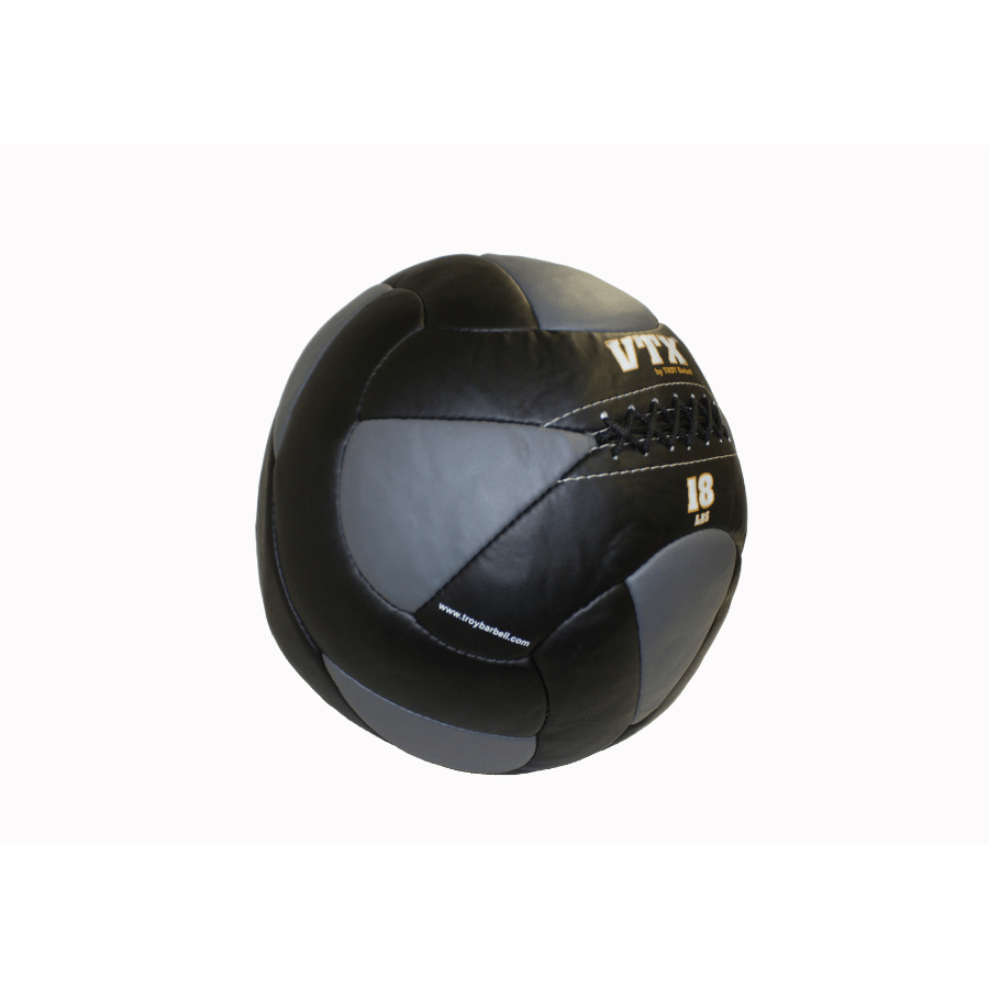 Troy Leather Wall Ball | PWB 18lb