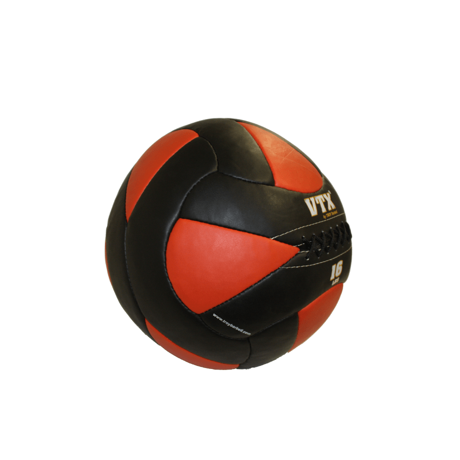 Troy Leather Wall Ball | PWB 16lb