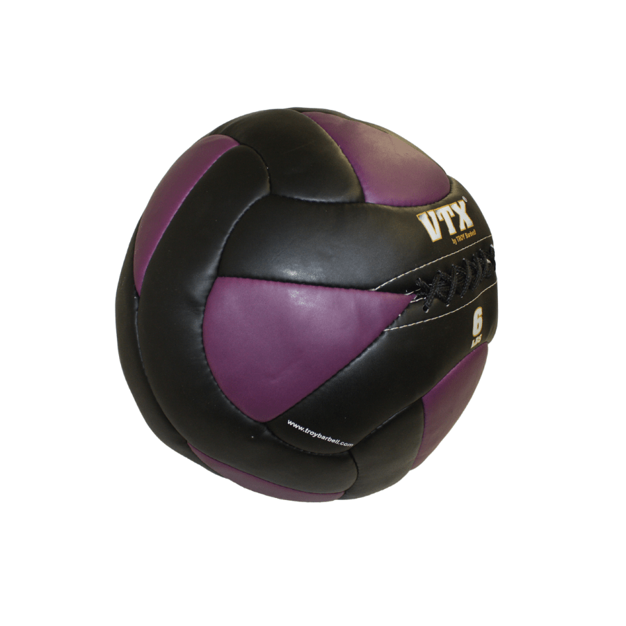 Troy Leather Wall Ball | PWB 6lb