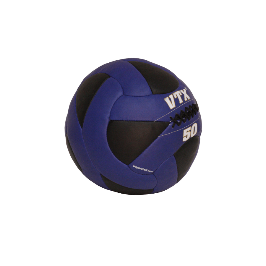 Troy Leather Wall Ball | PWB 50lb