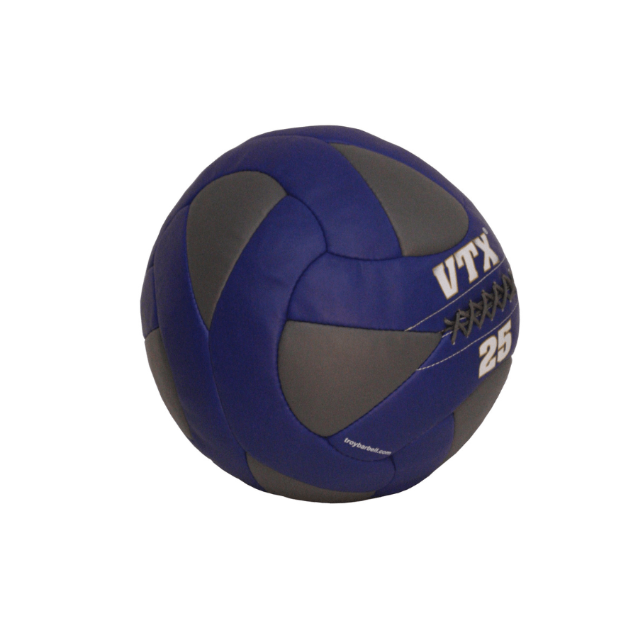 Troy Leather Wall Ball | PWB 25lb