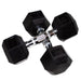 VERTPAC-HDR100 USA Sports by Troy  5-100lb Rubber Encased Hex Dumbbells 15 lb Pair