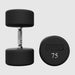 VTX Round Urethane Dumbbells - XD-U 75 lb Pair