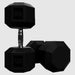 VTX SD-R 8-Sided Rubber Dumbbell Set 100 lbs Pair